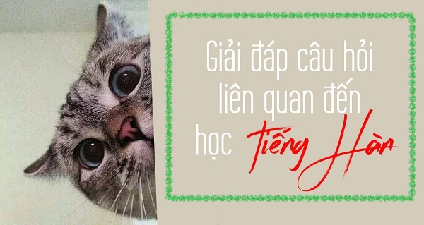Nhung cau hoi thuong gap trong hoc tieng han